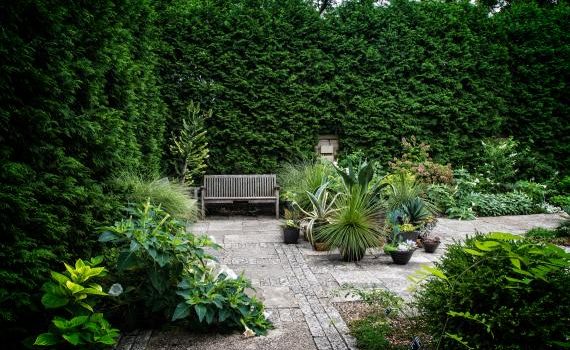 Jardin sans pelouse : comment l’aménager ?
