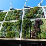 Jardin vertical : quelles plantes privilégier ?