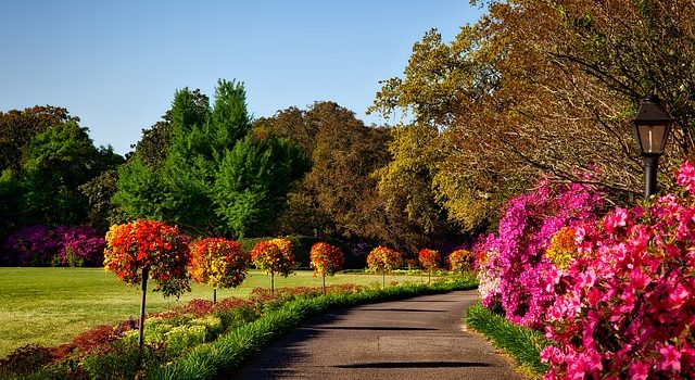 Quelques conseils pour réussir la création d’un jardin paysager