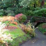 Réaliser une rivière artificielle dans le jardin : les étapes à suivre
