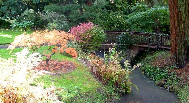 Réaliser une rivière artificielle dans le jardin : les étapes à suivre