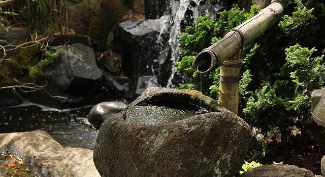 Guide pratique pour réaliser un bassin de jardin avec cascade