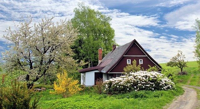 Nos conseils pour créer un massif de vivaces