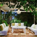 Quelles grimpantes fruitières pour embellir votre pergola ?