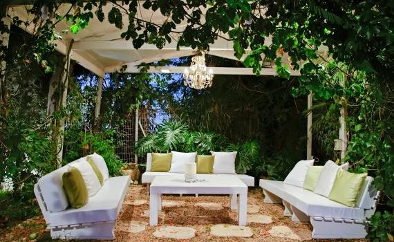 Quelles grimpantes fruitières pour embellir votre pergola ?