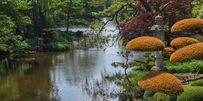 Zoom sur la taille japonaise « niwaki »