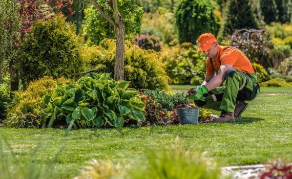 Focus sur VÉGÉTAL DÉCOR, une entreprise spécialisée dans l’aménagement paysager à Paris