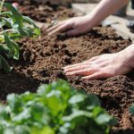 Nos conseils pour aménager un jardin sans entretien
