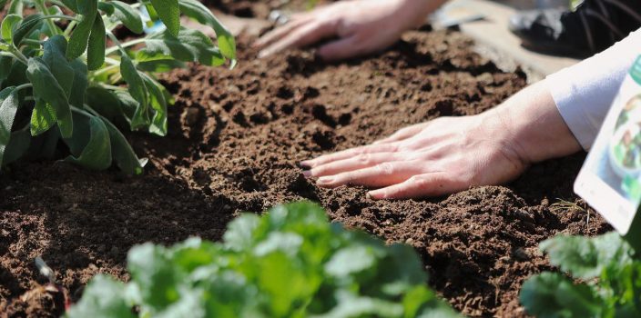 Nos conseils pour aménager un jardin sans entretien