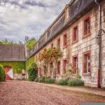 Quel arbuste choisir pour une haie brise-vent ?