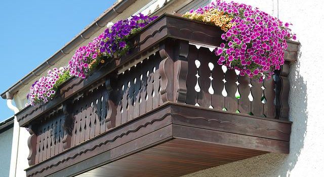 Quel type d’arrosage pour le balcon ?