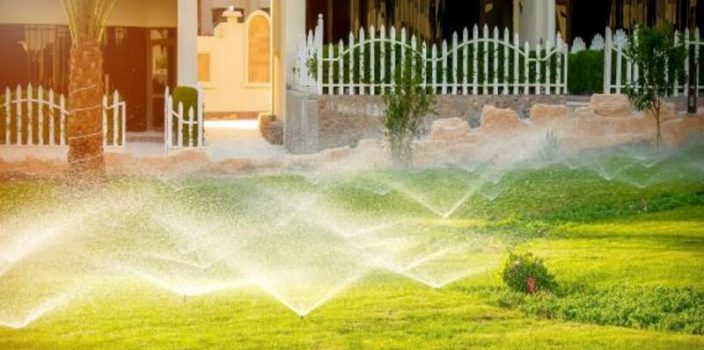 Top 3 des meilleurs systèmes d’arrosage automatique pour le jardin