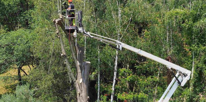 Comment enlever un arbre tombé sur le toit ?