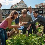 Jardin partagé : de quoi s’agit-il exactement ?