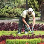 Combien coûte un aménagement de jardin par un paysagiste ?