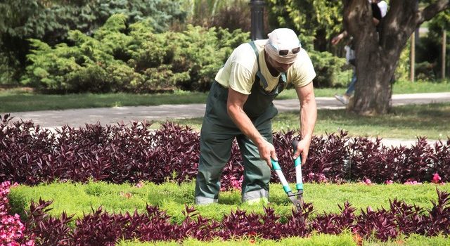 Combien coûte un aménagement de jardin par un paysagiste ?