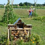 Créer un potager en permaculture : le guide !