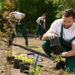 Top 5 des meilleurs paysagistes à Marines