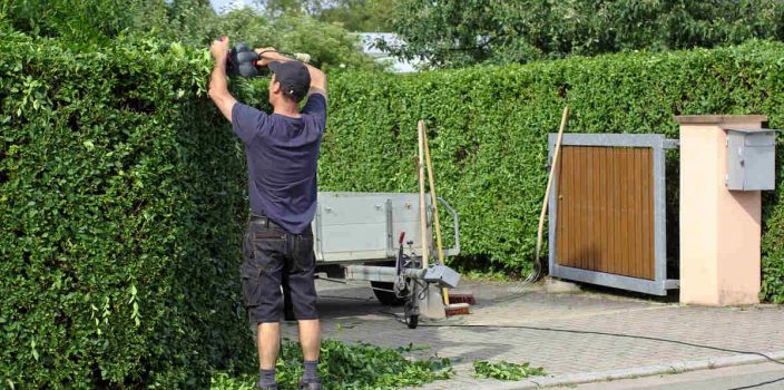 Des méthodes pour trouver un bon paysagiste