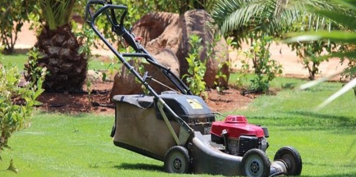 Balayeuse de feuilles ou tondeuse à gazon : laquelle choisir ?