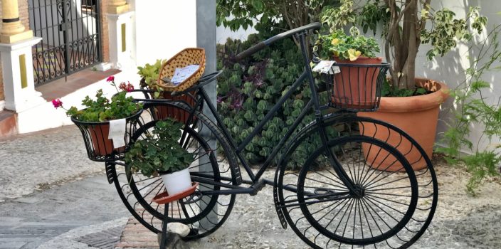 Créer un jardin en pots : Des idées pour un aménagement paysager polyvalent