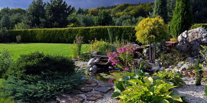 Comment concevoir un jardin de rocaille, en utilisant des pierres, des cailloux et des plantes adaptées aux terrains rocailleux ?