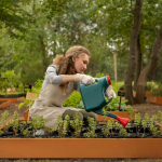 Comment améliorer la qualité du sol dans un carré potager ?