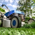 Tonte de pelouse en saison chaude : conseils pour préserver la vitalité de votre gazon