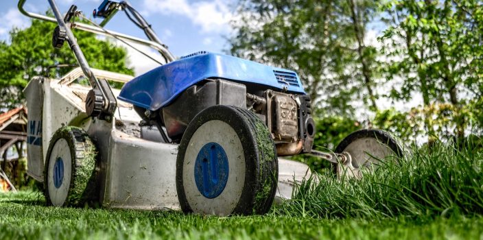 Tonte de pelouse en saison chaude : conseils pour préserver la vitalité de votre gazon