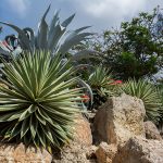 Des idées pour intégrer harmonieusement une rocaille dans votre jardin