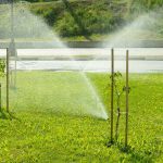 Arrosage intelligent : Les techniques pour économiser l’eau tout en gardant un jardin luxuriant