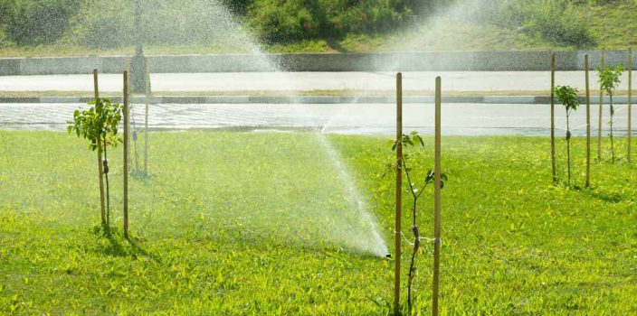 Les techniques pour économiser l’eau tout en gardant un jardin luxuriant