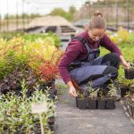 Le rôle crucial des plantes indigènes dans la préservation de l’écosystème