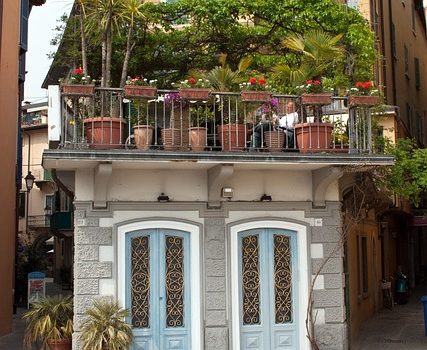 Du balcon au jardin : Cultivez des plantes en conteneurs avec succès