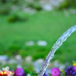 Comment intégrer l’eau dans votre paysage ? Fontaines, bassins et étangs