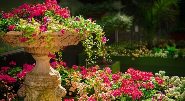Comment planifier efficacement l’entretien saisonnier de votre jardin ?