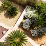 Les 10 plantes incontournables pour un jardin moderne