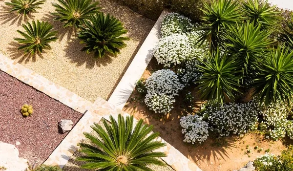 Les 10 plantes incontournables pour un jardin moderne