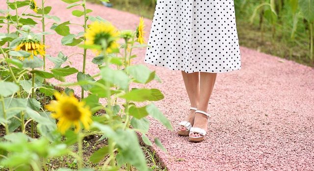 Création de sentiers de jardin en béton pour une circulation aisée