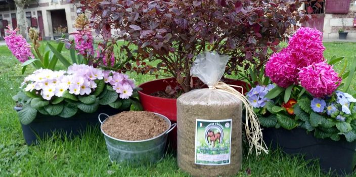 Pourquoi le guano est-il l’arme secrète des jardiniers professionnels ?