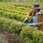 Tout ce qu’il faut savoir avant de se lancer dans la location de matériel de jardinage