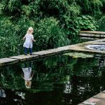 Gérer l’humidité du sol dans les zones ombragées du jardin: solutions pratiques