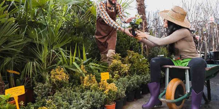 Comment bien choisir un pépiniériste pour votre jardin