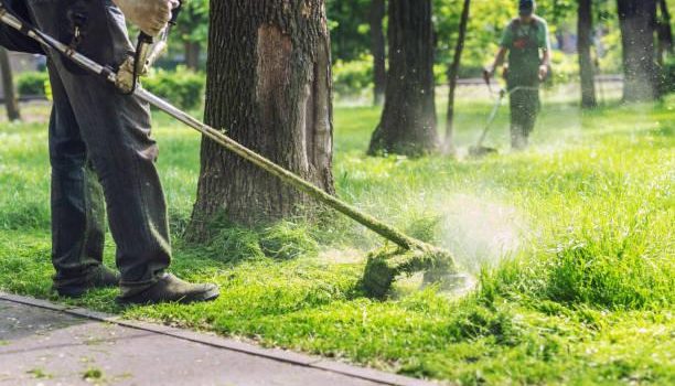 Secrets pour un entretien réussi des massifs au printemps